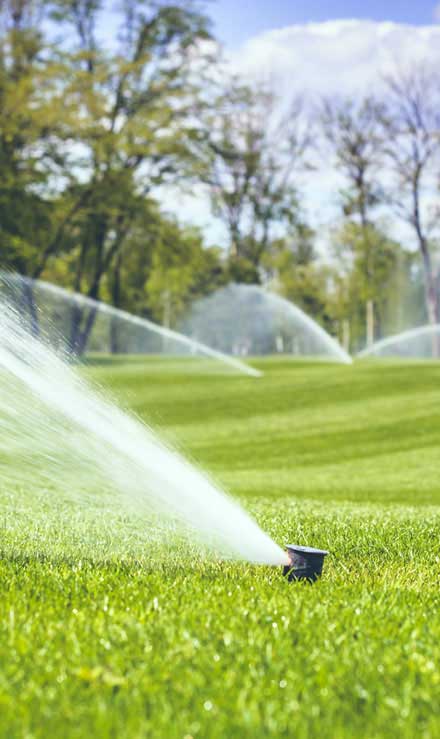 Nunez Lawn Care & Landscaping, Inc. Sprinkler Installation