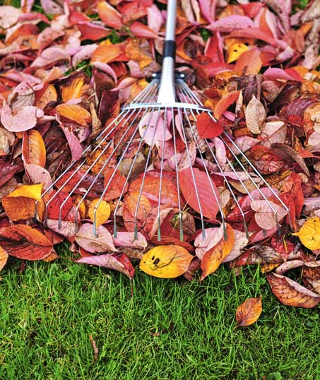 Nunez Lawn Care & Landscaping, Inc. Fall Clean Up