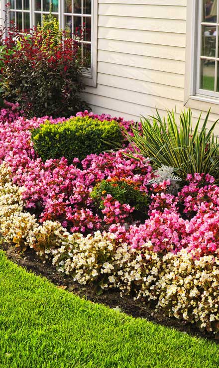 Nunez Lawn Care & Landscaping, Inc. Garden Design